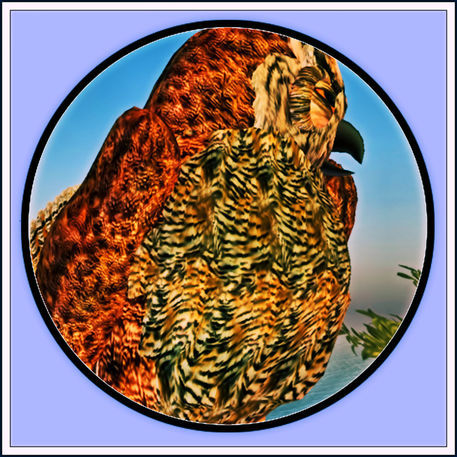 Virtual-owl