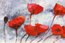 'Roter Mohn - Red Poppies' von Lutz Baar