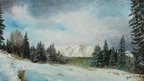 Winter in the mountains / Winter in den Bergen von Apostolescu  Sorin