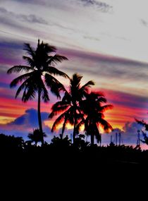 Bahamas Palms by Karina Stinson