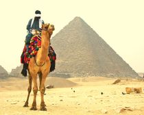 Pure Egypt von Karina Stinson