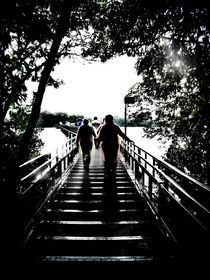 Bridge to Iguazu Waterfalls by Karina Stinson