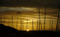 Sunset Harbor II von Tom Pinsent