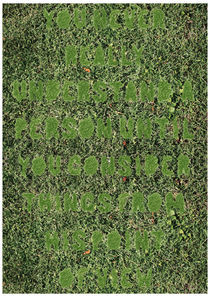 Grass Type by Felicity Case-Mejia