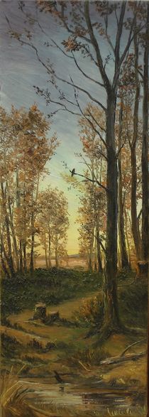 Fall in the meadow / Herbst in der Wiese von Apostolescu  Sorin