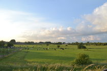 Landscape in Netherland