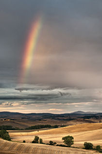 Somewhere Under the rainbow by Marco Vegni