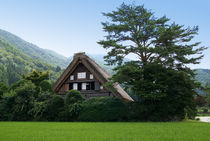 Historic Villages of Shirakawa-go and Gokayama (Japan) by artemas