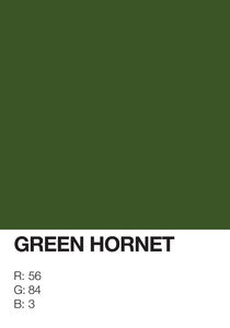 Green Hornet by Gidi Vigo