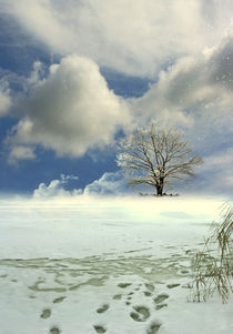winter tree by vimark