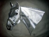 Gray on Grey by Sandra Gale