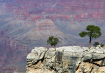 Grand Canyon by buellom