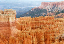 Bryce Canyon National Park by buellom
