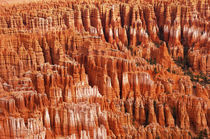 Bryce Canyon National Park 3 by buellom