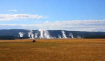 Yellowstone Landschaft mit Bison von buellom
