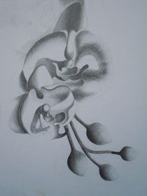 Orchideenrispe von Katja Finke