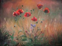 'Field of poppies / Mohnfeld' by Apostolescu  Sorin