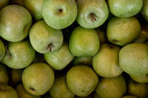 Green Apples by NEVZAT BENER ALADAGLI