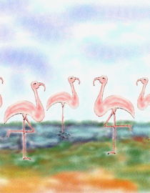 Flamingos by reniertpuah