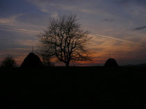 Rural Night Sky by hegedus