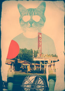 'The Cat' von Ali GULEC