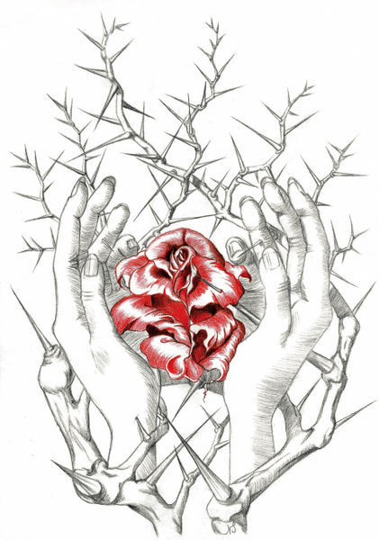 Hands-rose-thornbush