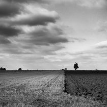 The Dividing Line, Suffolk, 2010 by Paul Cooklin