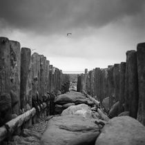 Sea Groins, Lynmouth Beach, North Devon, 2011 von Paul Cooklin