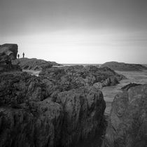 Rocks, Berrynarbor, North Devon, 2011 von Paul Cooklin