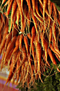 Market Fresh Carrots by Casey Marvins