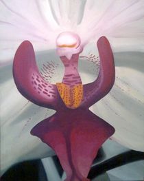Orchid IV by Daniela Valentini