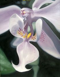 Orchid III by Daniela Valentini