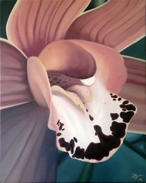 Orchid II by Daniela Valentini