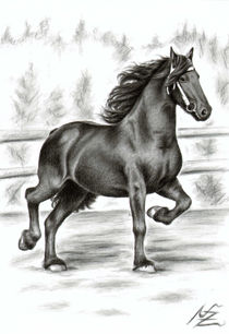 Friesian Horse von Nicole Zeug