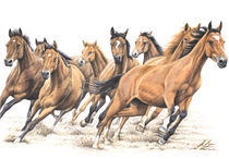 Trakehner Horses von Nicole Zeug