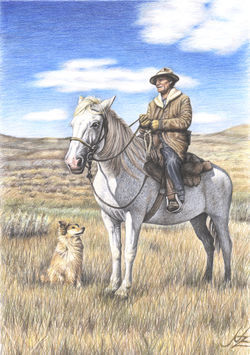 Montana-shepherd