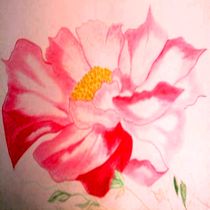 Flower in Rose von tawin-qm