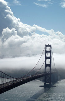 Golden Gate von Daniela Valentini