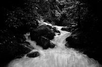 Anton Valley Waterfall, Panama by Christian Archibold