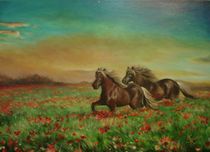 Horses in the field with poppies / Pferde im Feld mit Mohnblumen von Apostolescu  Sorin