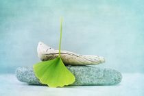 wood, stone and a gingko leaf by Priska  Wettstein