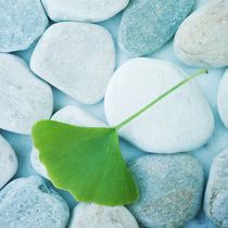 stones and a gingko leaf by Priska  Wettstein