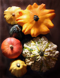 pumpkins by Moira Nazzari
