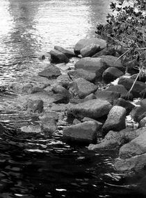 Rocky River's Edge by Yvonne M Remington