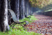 Silent Autumn by Marco Vegni
