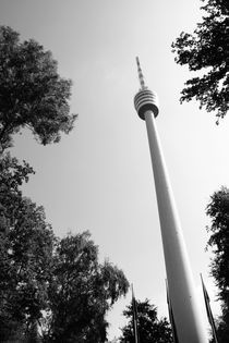 Stuttgart Fernsehturm 5 by Falko Follert