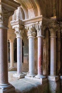 Marble Columns of Fontfroide Cloister by Louise Heusinkveld