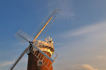 Horsey Drainage Mill, Norfolk by Louise Heusinkveld