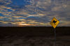 Kangaroo-crossing-sign4900