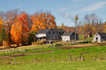 Canadian Farm in Autumn von Louise Heusinkveld